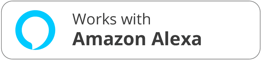 Voice Assistant