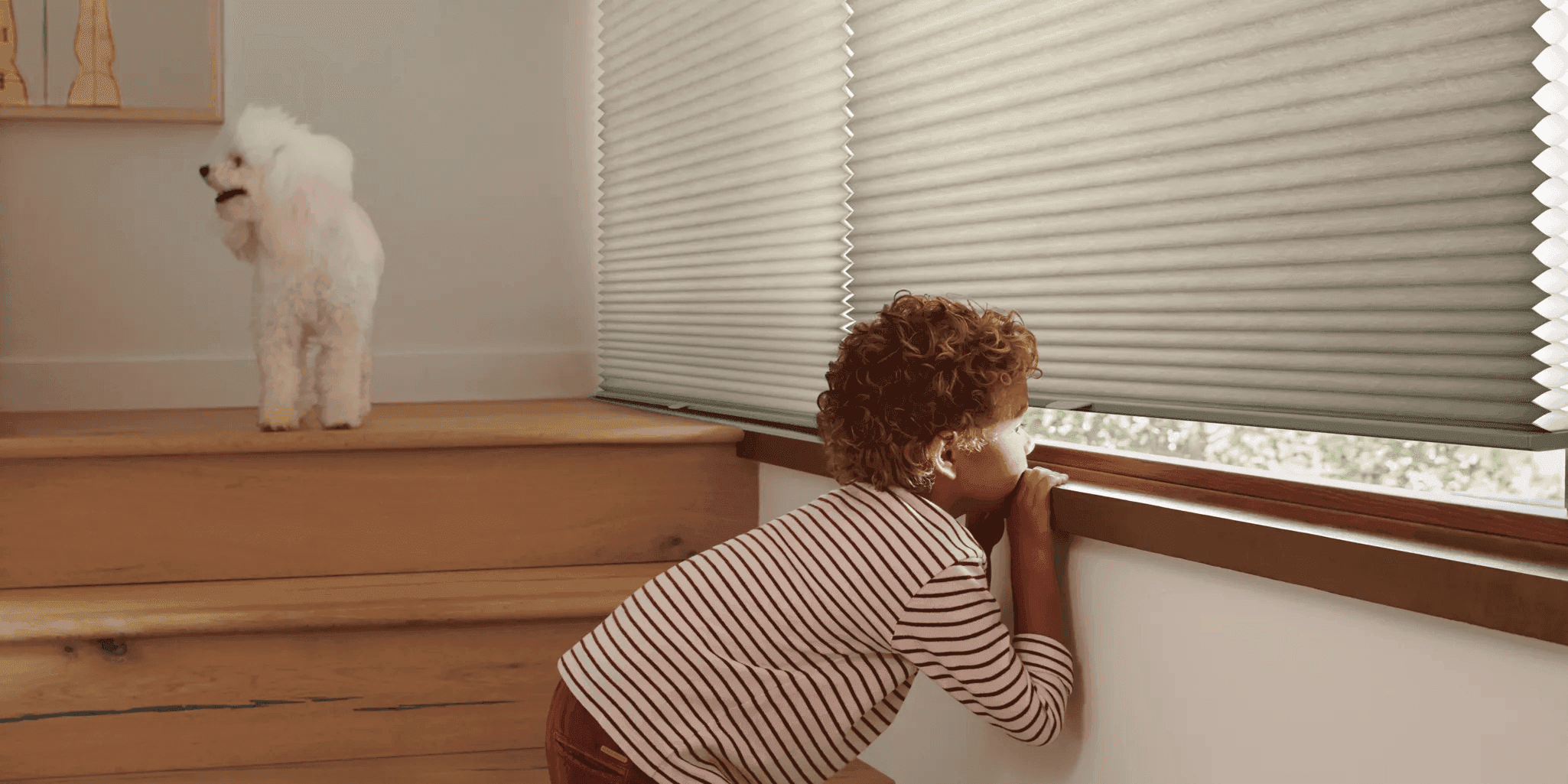 Image - https://strapi-ecm-assets.s3.ap-southeast-1.amazonaws.com/child_safety_banner_e13a1d67fb.png